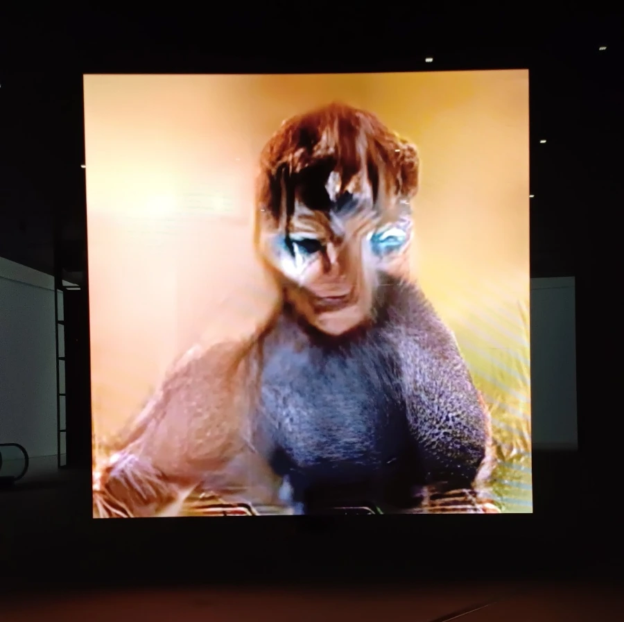 900%EF%BC%BF1741166541320.jpg?type=w1