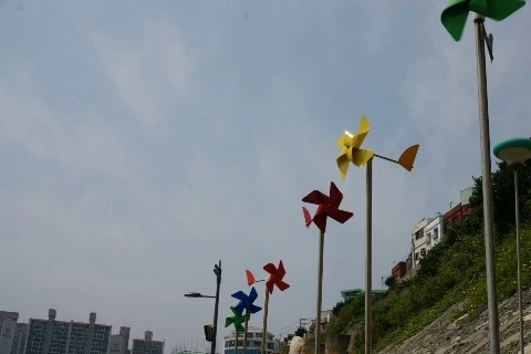 청춘의 흐름.jpg