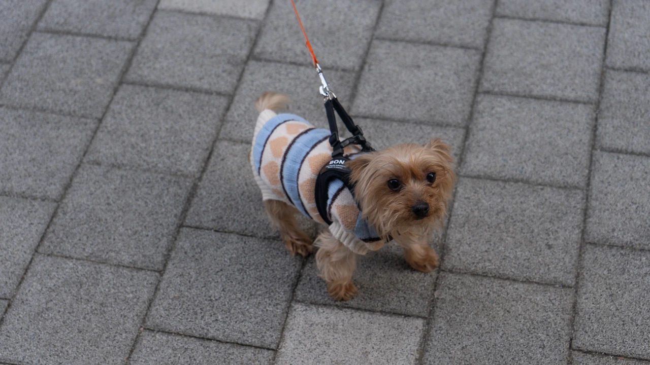 KakaoTalk_Photo_2024-02-15-18-19-42 005.jpeg