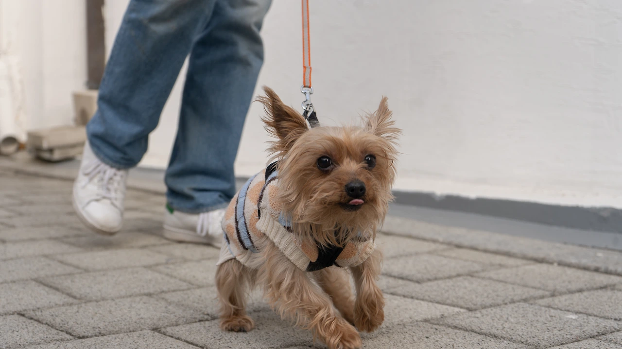 KakaoTalk_Photo_2024-02-15-18-19-42 004.jpeg