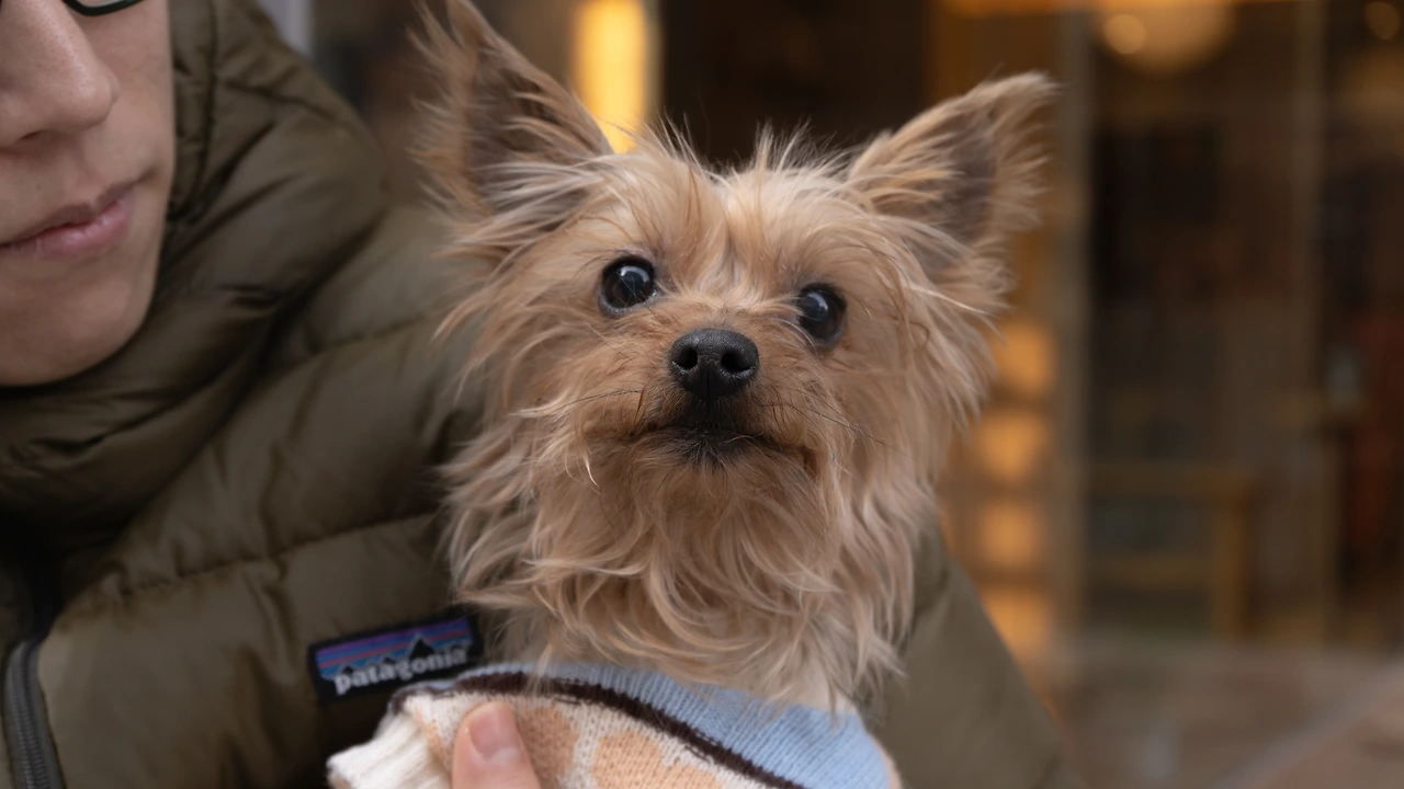 KakaoTalk_Photo_2024-02-15-18-19-41 002.jpeg