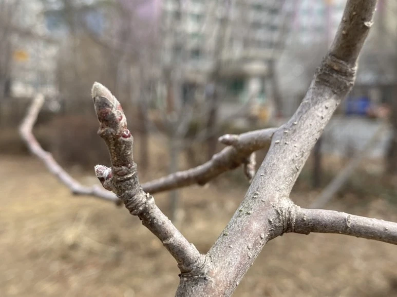 IMG_5526.jpg?type=w773