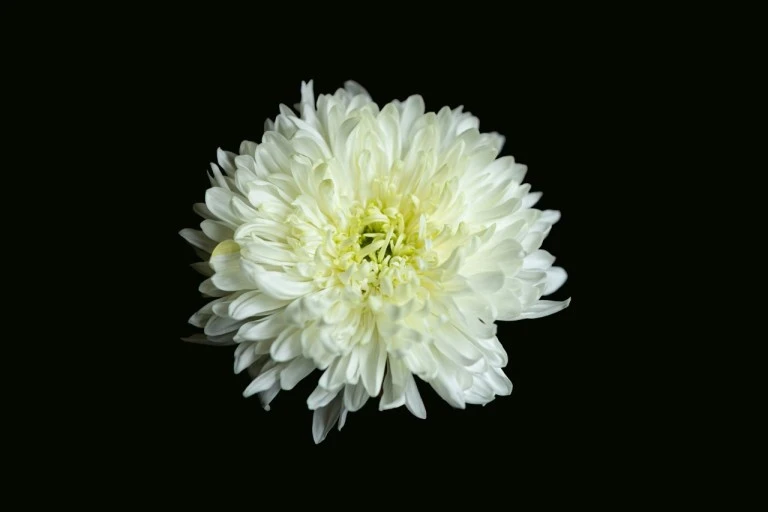 다운로드 (1).jfif