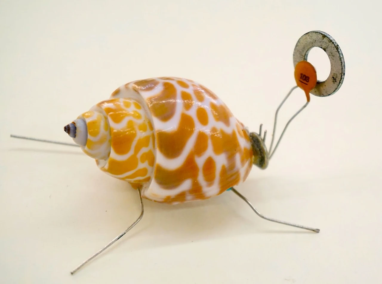 55u-5etX2Zpxg34lluo2j_u_FTXESiemKXdJj7-bgCQZoARCMo5YwlHCNsv9z8CzdzXHUWm35fGbLC24YOdwFsAcsKbbTKeGeubq7KDFJiFNvqXwgR5YJaCpsTH9jamG-CkEDJbrFuc4ytWQGXeppDA