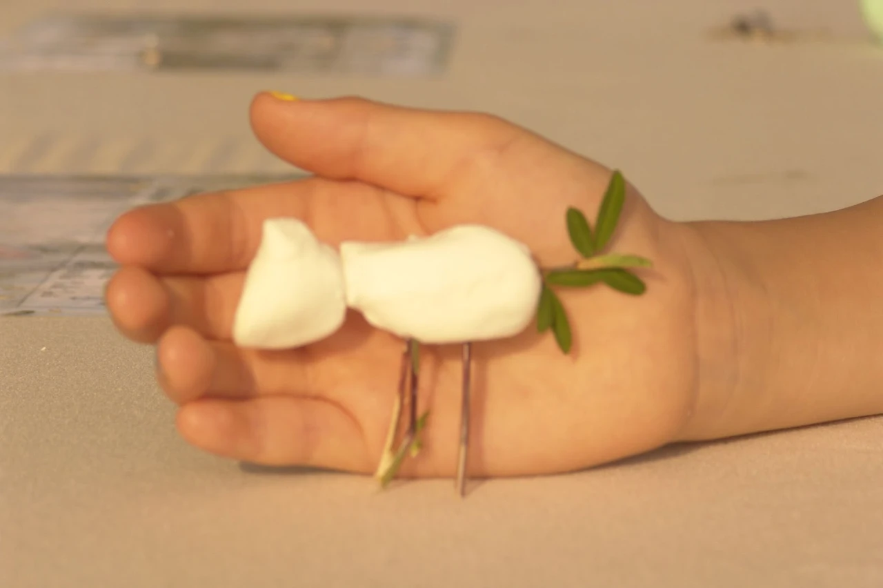 vnOAvkfYwPQ70kye8jaLEZgFl449uw_4vIVhYTiSX_VhXZt4EBSyOWM_nxyw8h_Uqa5y9T2sKR-T8OMU7shMdZhZ0fmpGlj2YJa8nWF57wnkAtCNp8rZMWdqQmnY9z9oZIBGlTbBEfYubFRRUBaq6OQ