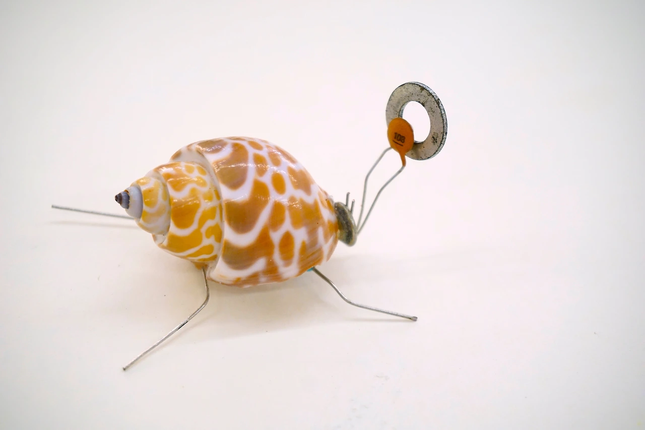 _DSC9892 복사본.JPG