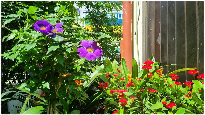 KakaoTalk_20240604_081330687.jpg?type=w1600