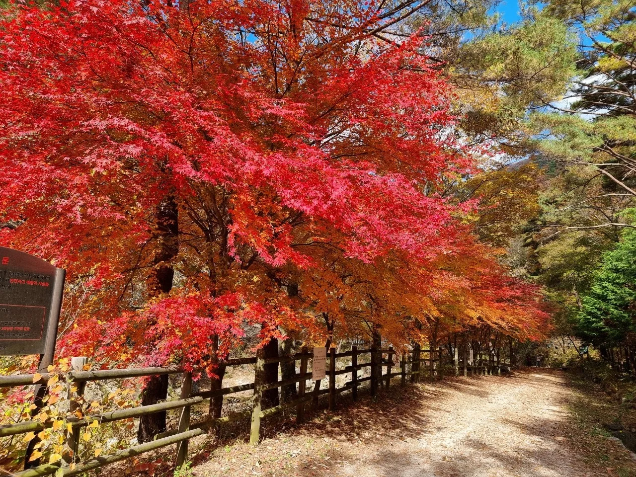 0_90fUd018svc1wjb5dpbftghc_e5tzrr.jpg?type=e1920_std