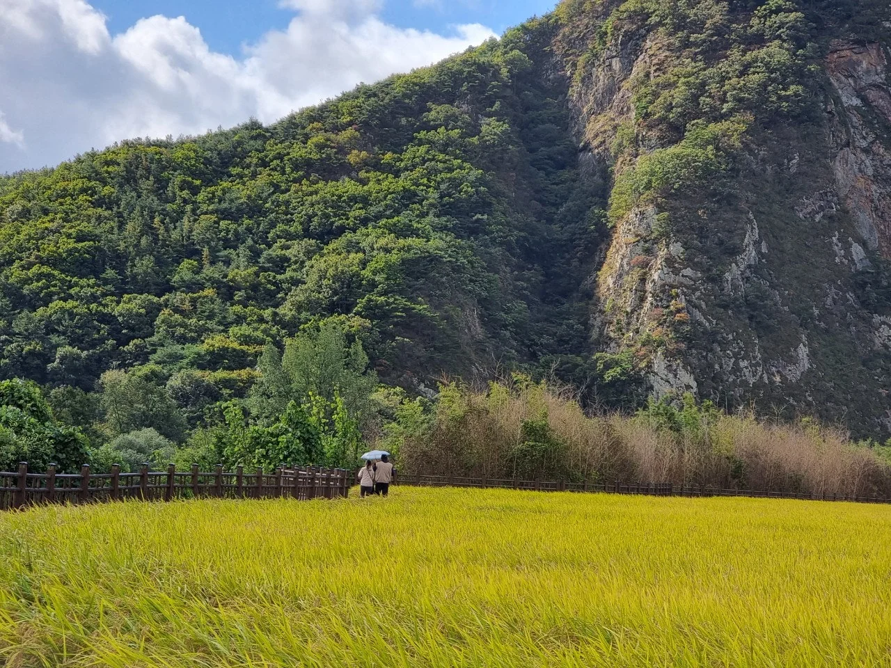 f_3ajUd018svc173ce0y3pz2ye_e5tzrr.jpg?type=e1920_std