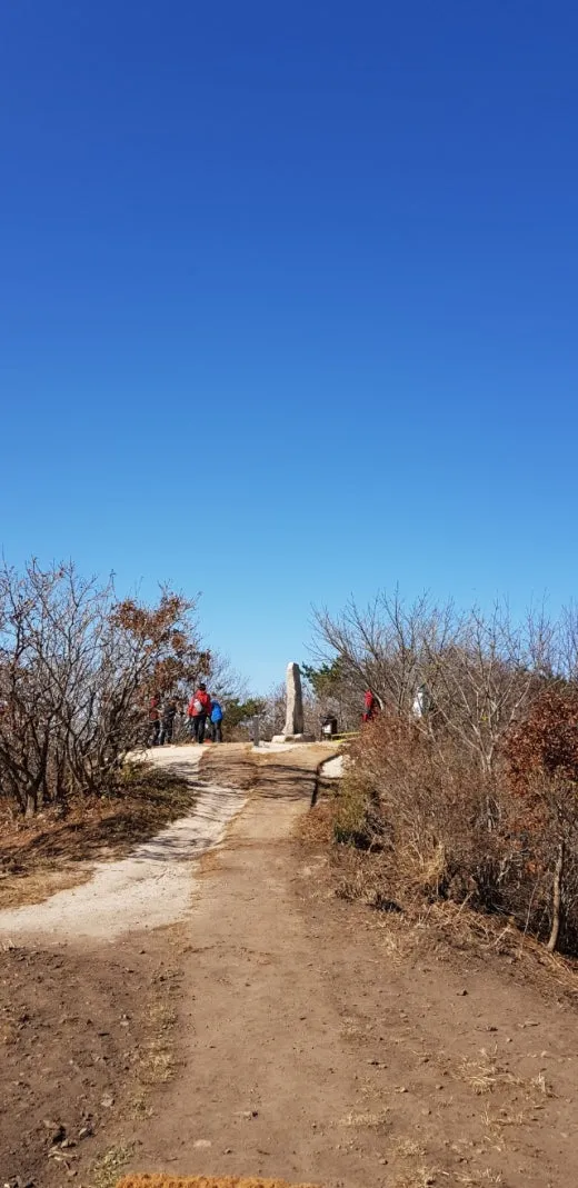 d_i3aUd018svcd2zgdr14fqpd_e5tzrr.jpg?type=w520