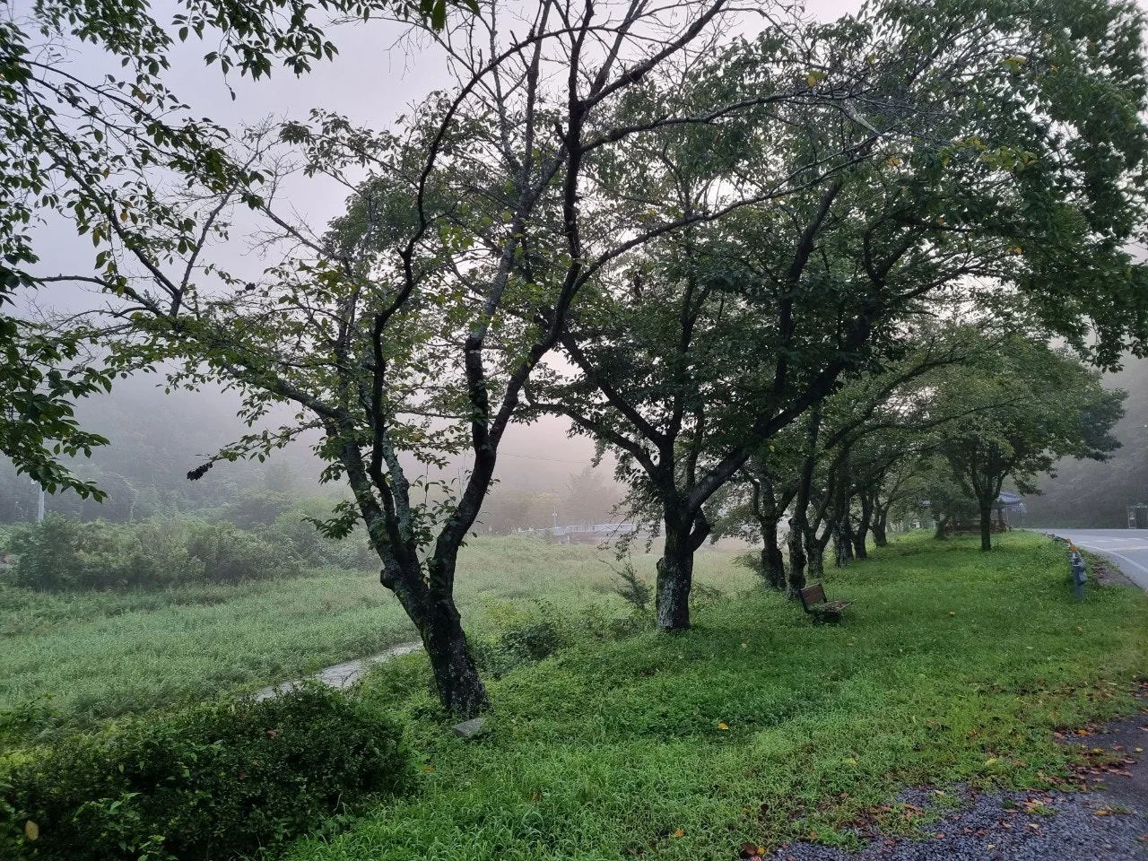 a_dj3Ud018svc2s28e2srvy7b_e5tzrr.jpg?type=e1920_std