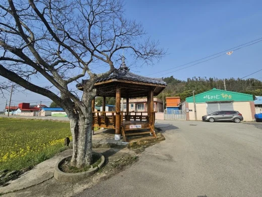 j_a8gUd018svcq6wk9ug9ilk6_1tend1.jpg?type=w520