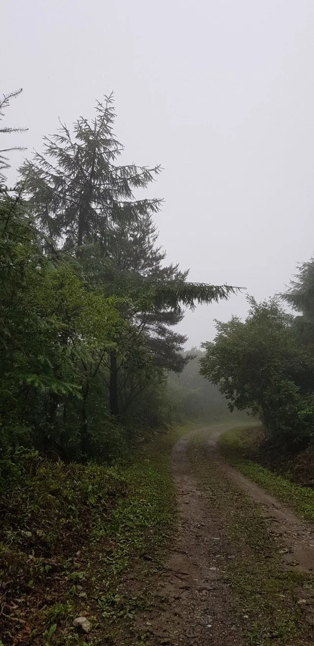 e_846Ud018svchk9ceb2lq6d1_e5tzrr.jpg?type=e1920_std