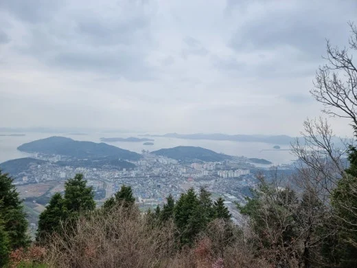 f_i6eUd018svc1lwz5cylx3cti_e5tzrr.jpg?type=w520