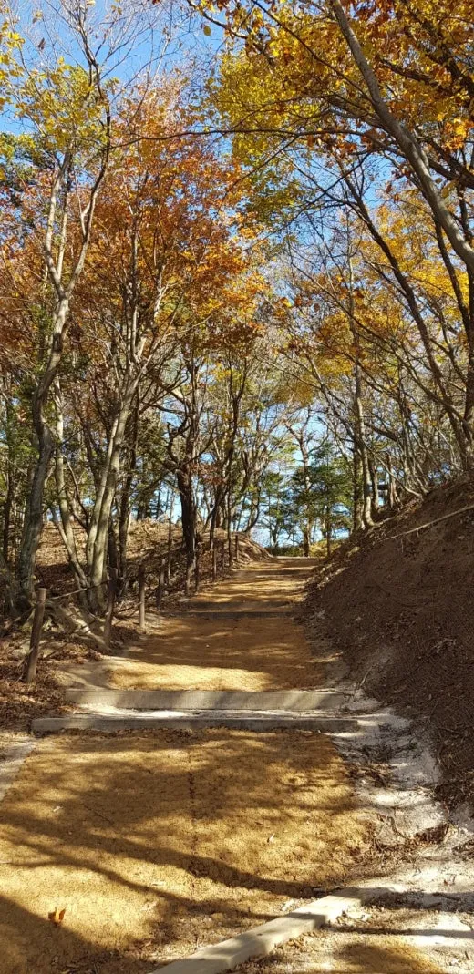 d_d3aUd018svckd0sj8o5s08i_e5tzrr.jpg?type=w520