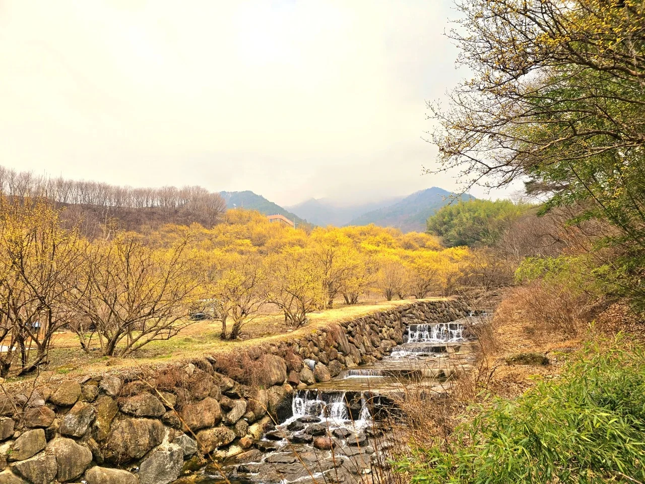 a_h2bUd018svcn0zyf8qztztb_1tend1.jpg?type=e1920_std