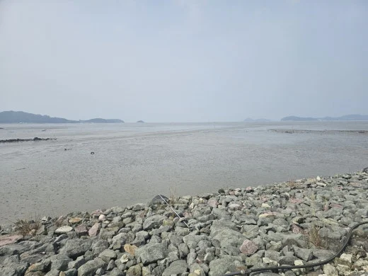 2_88hUd018svc1jz83blevv7im_1tend1.jpg?type=w520