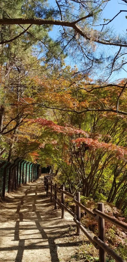 e_j3aUd018svc1hbsv7f3u5bva_e5tzrr.jpg?type=w520