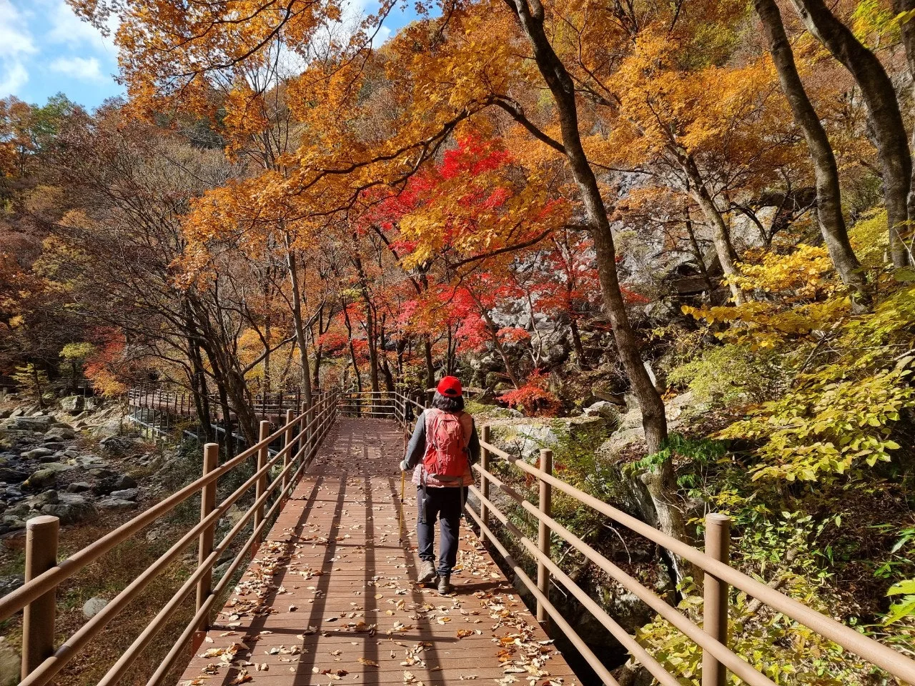 1_70fUd018svcvt94563guf34_e5tzrr.jpg?type=e1920_std