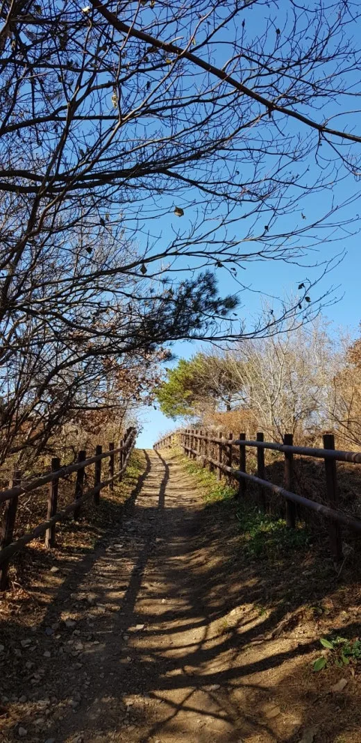 d_h3aUd018svc1dedqx4cusfap_e5tzrr.jpg?type=w520