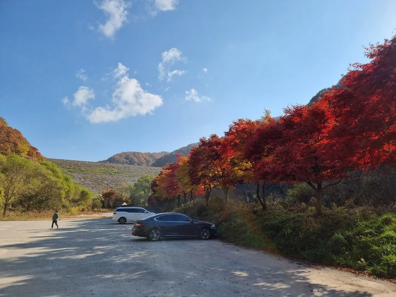 0_j0fUd018svcqepb3l4ty9tc_e5tzrr.jpg?type=e1920_std