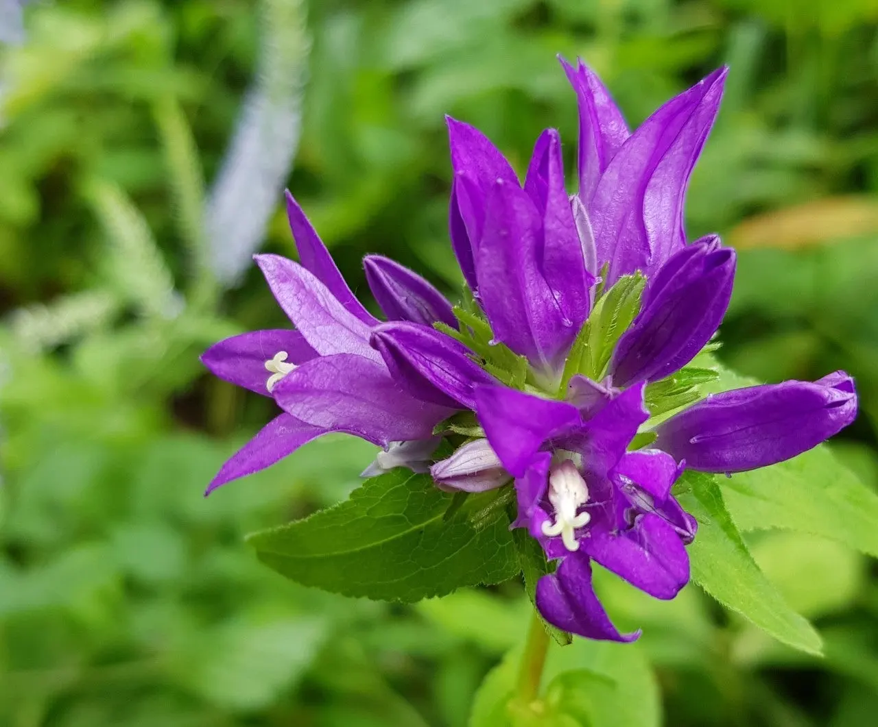 e_846Ud018svc1vhfy9mbx3yyr_e5tzrr.jpg?type=e1920_std