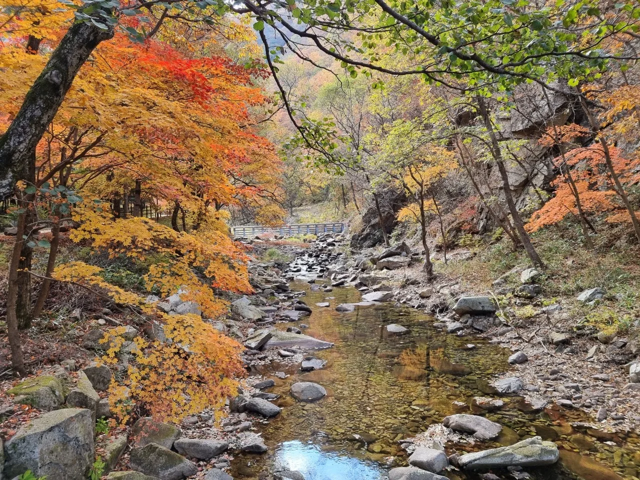 0_b0fUd018svc1ukieyv3w5czk_e5tzrr.jpg?type=e1920_std