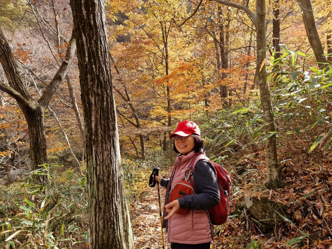 0_d0fUd018svci5qqfi0tigf1_e5tzrr.jpg?type=e1920_std