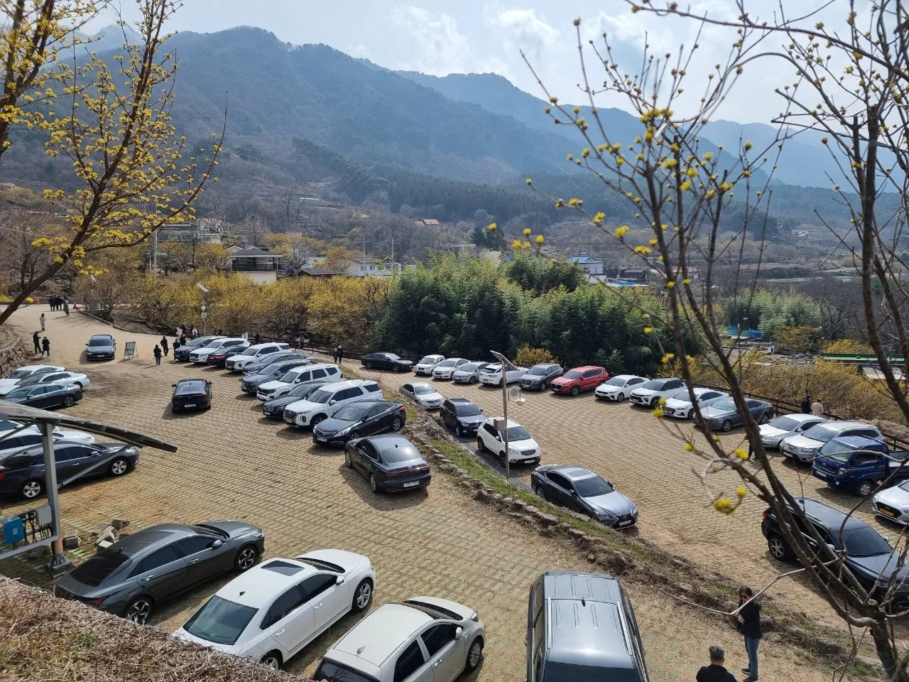 g_hc9Ud018svcb57bbg6z3qju_e5tzrr.jpg?type=e1920_std