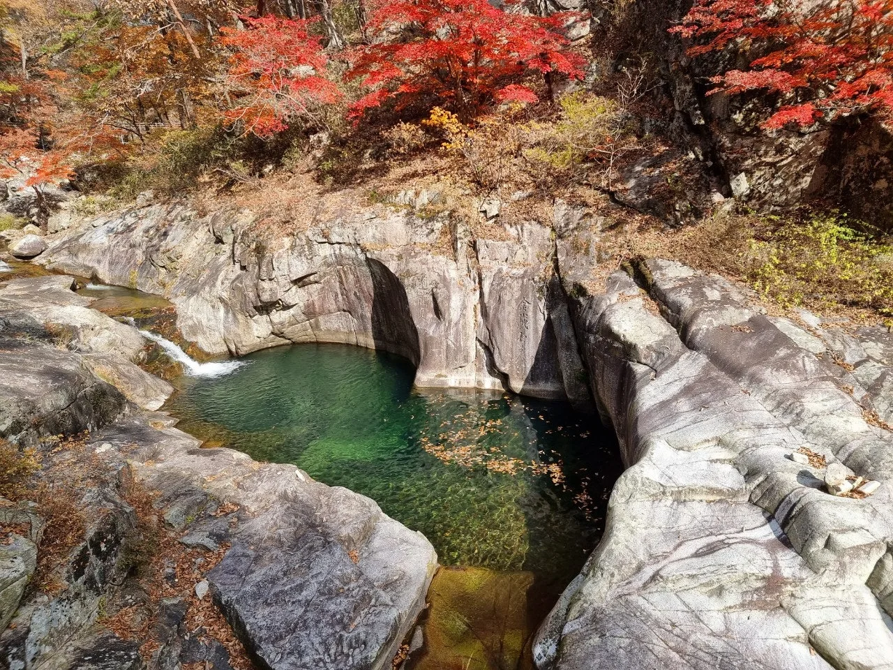 0_c0fUd018svc15qx7qre026yd_e5tzrr.jpg?type=e1920_std