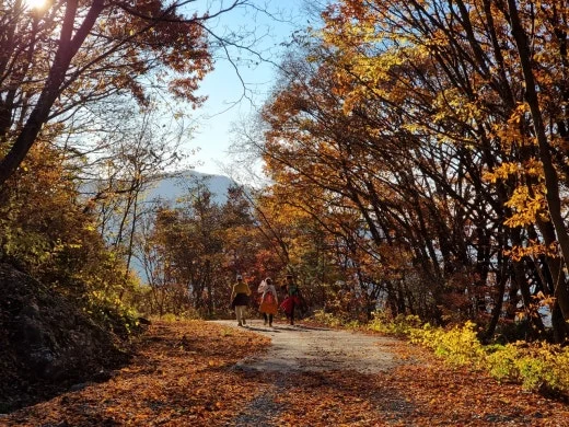 f_87fUd018svcaaddjw7qe85d_e5tzrr.jpg?type=w520