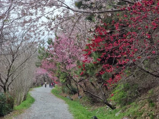 f_a6eUd018svc1xfl0r6ix7fvd_e5tzrr.jpg?type=w520