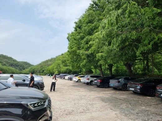 6_55hUd018svcstag6v7yw94y_e5tzrr.jpg?type=w520