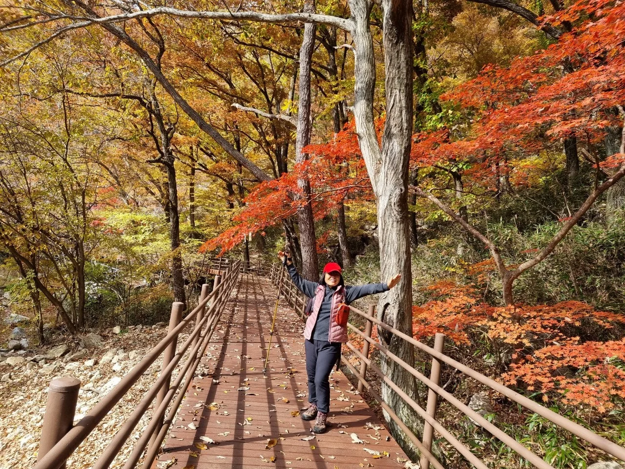 1_60fUd018svcpm40ayyzt9r3_e5tzrr.jpg?type=e1920_std