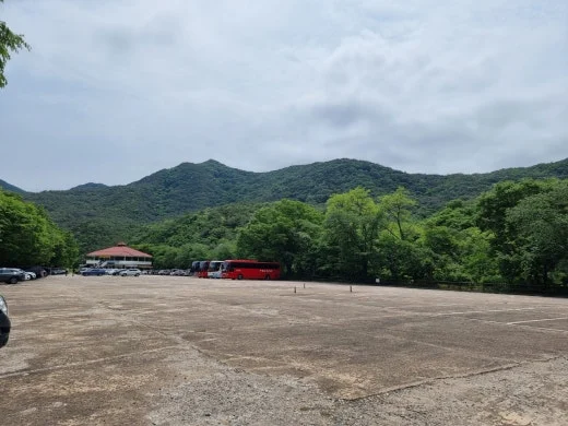 6_h5hUd018svcq69ummhl82xk_e5tzrr.jpg?type=w520