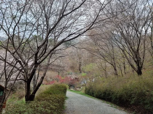 g_f6eUd018svc1ha6sc04euqww_e5tzrr.jpg?type=w520