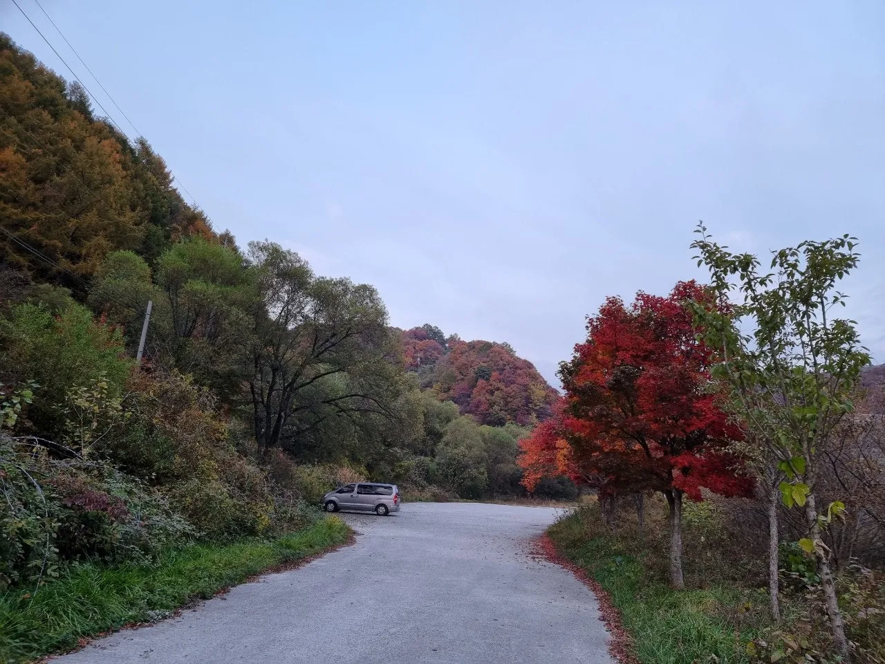 1_a0fUd018svc183cf1ydl0jd_e5tzrr.jpg?type=e1920_std