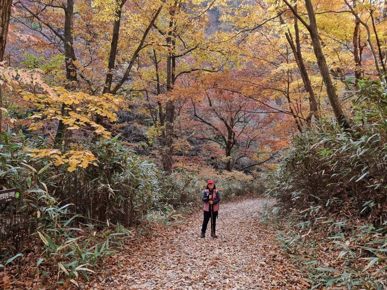 0_g0fUd018svch0vx0gkihndh_e5tzrr.jpg?type=e1920_std