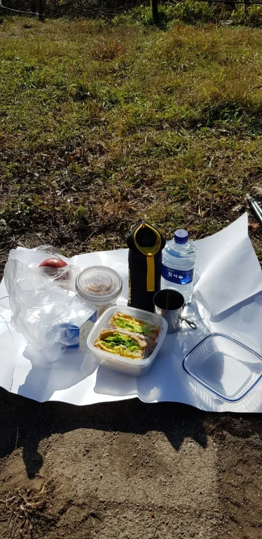 f_33aUd018svc1wip2l805y98l_e5tzrr.jpg?type=w520