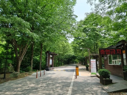 5_d5hUd018svc1dpmgutz6krh3_e5tzrr.jpg?type=w520