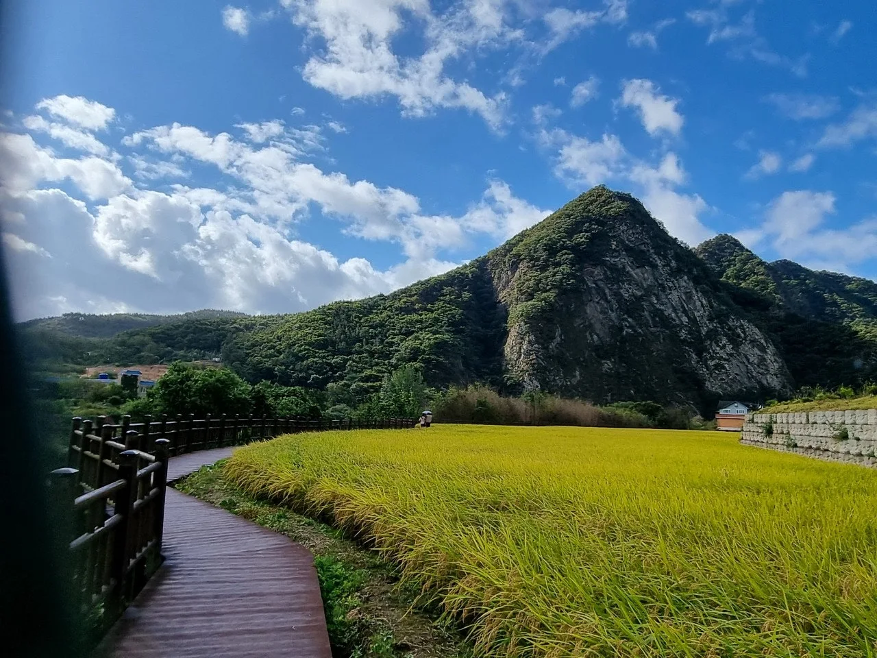 f_1ajUd018svc30nzaxkmtkub_e5tzrr.jpg?type=e1920_std