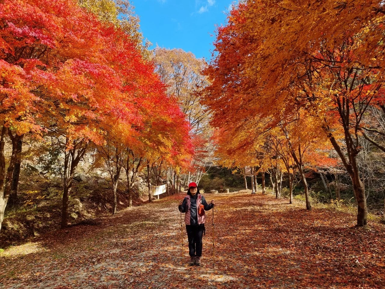 0_80fUd018svca49za27tbsn8_e5tzrr.jpg?type=e1920_std