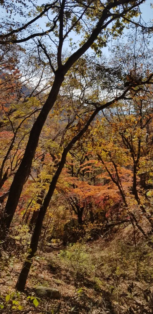 f_03aUd018svc142as3hwmwgkl_e5tzrr.jpg?type=w520