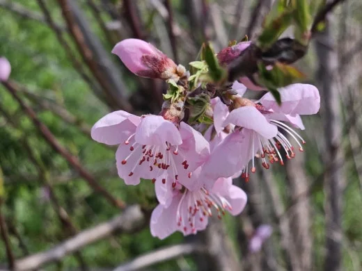 1_2d9Ud018svc1n1sl8qzjnheq_1tend1.jpg?type=w520