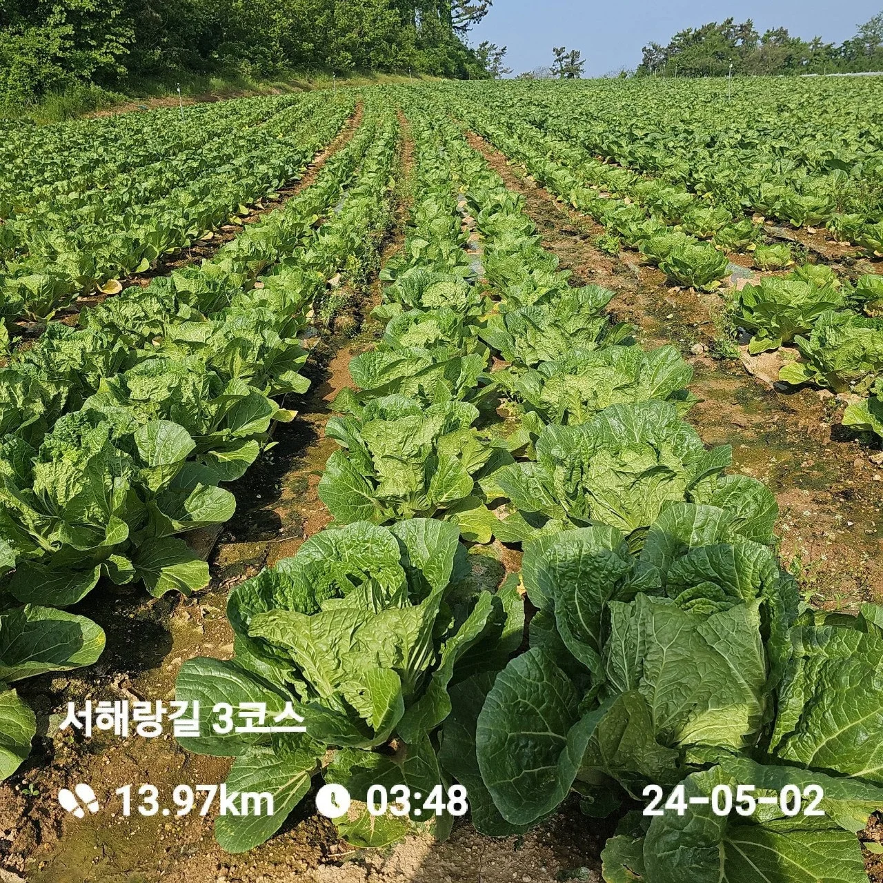 j_03eUd018svcidik7g4ffeas_1tend1.jpg?type=e1920_std