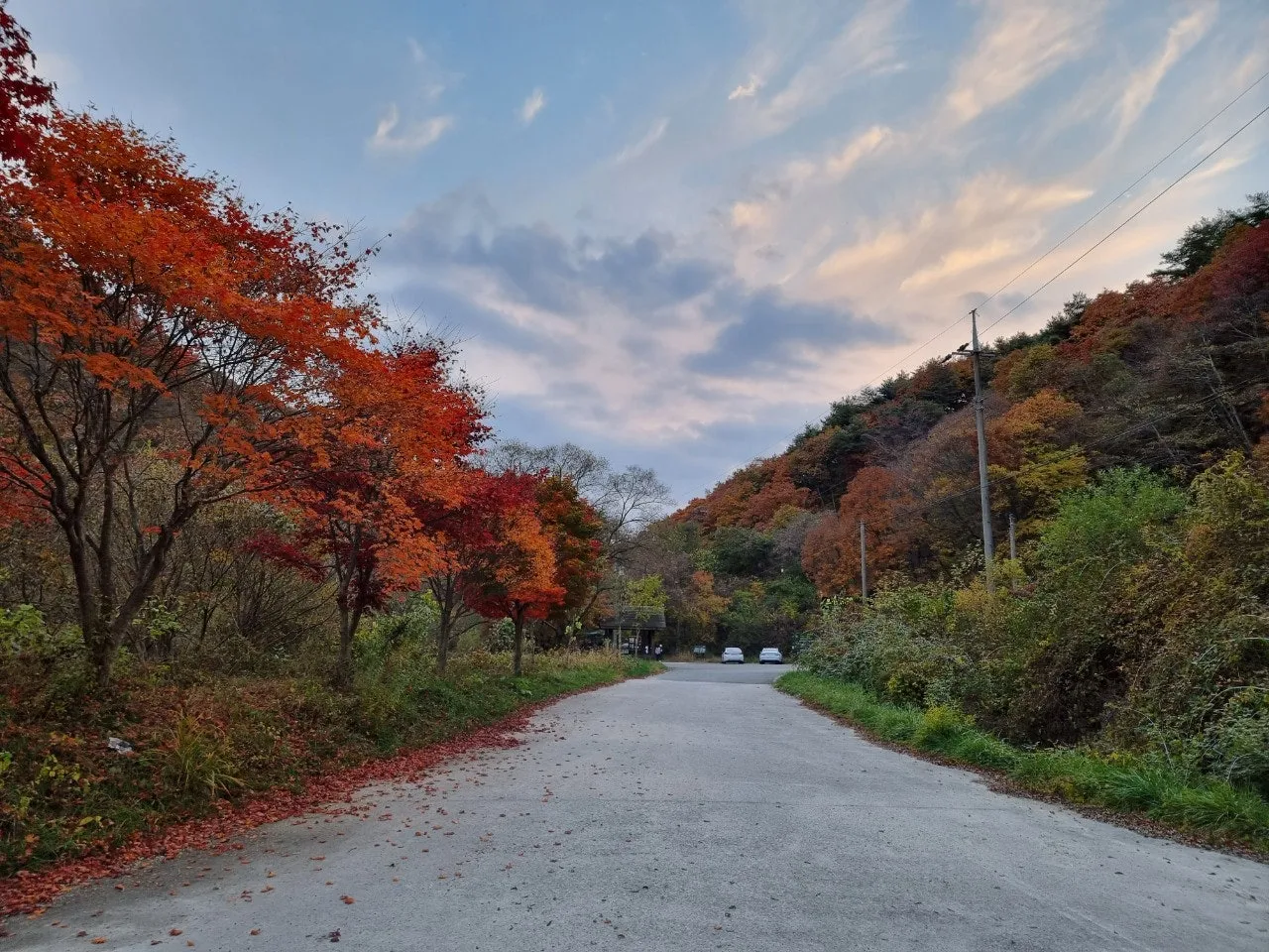 1_b0fUd018svc1p2z0yuq0a60m_e5tzrr.jpg?type=e1920_std