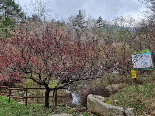 g_h6eUd018svc1nalpopfl191e_e5tzrr.jpg?type=w520