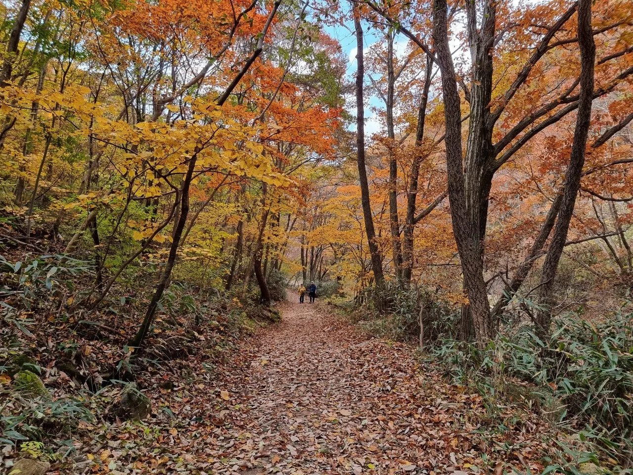 1_40fUd018svc14qjhg8kw0erl_e5tzrr.jpg?type=e1920_std