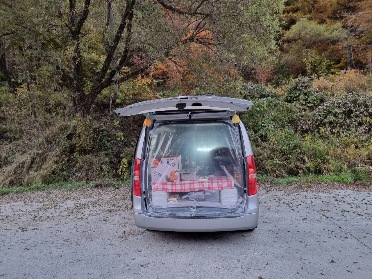 1_10fUd018svc17lskvtiojs0g_e5tzrr.jpg?type=e1920_std