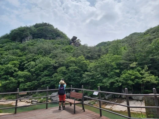 5_05hUd018svc7xbumi1nes5c_e5tzrr.jpg?type=w520